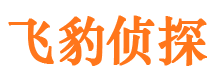 集宁外遇出轨调查取证